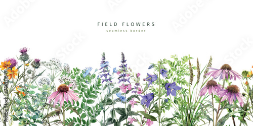 Wild flowers and herbs, watercolor seamless border