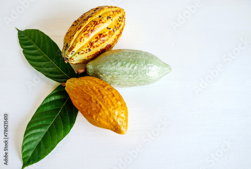 Ripe yellow cacao pod,Top view of fresh ripe cacao and green raw cacao fruit on white wooden background