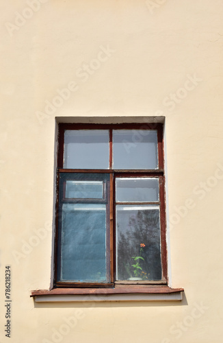 View of an old wooden window. There is a flower in the window.
