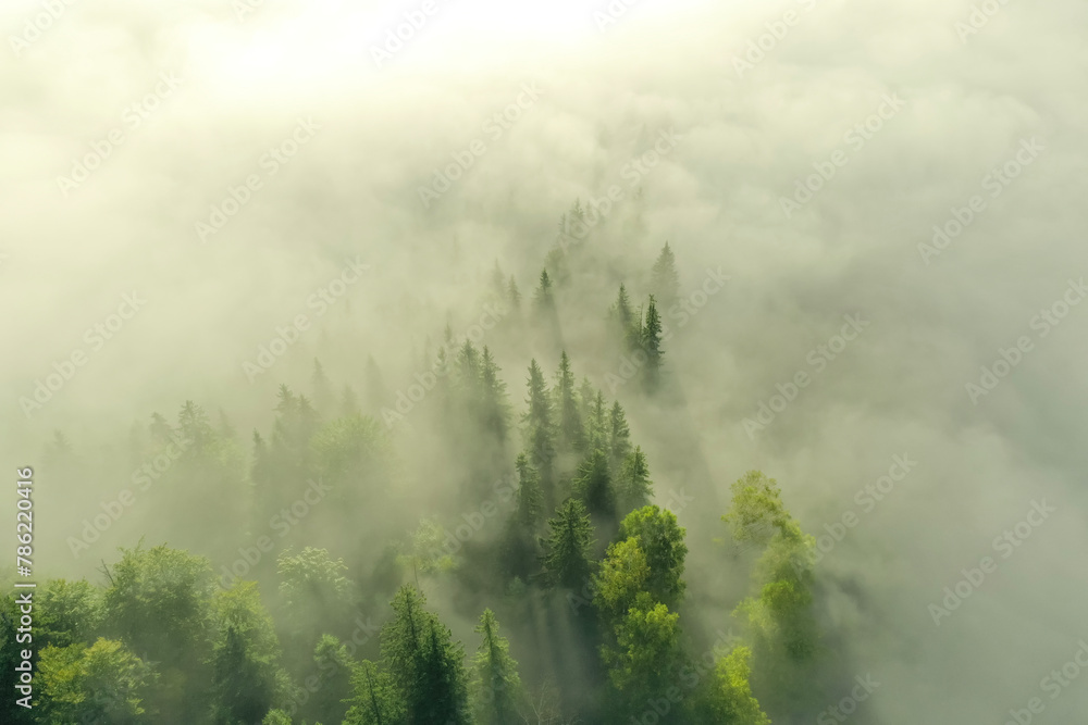 Aerial view of beautiful landscape with misty forest on autumn day Aerial view of beautiful landscape with misty forest on autumn day
