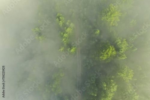 Aerial view of beautiful landscape with pathway in misty forest on autumn day