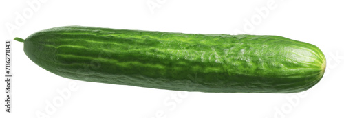 One long fresh cucumber isolated on white