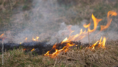 Fire spreading on dry vegetation on hot summer