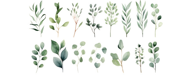 watercolor green plants set collection leaf herbal flower