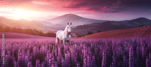 White horse in field purple flowers against backdrop mountains at sunset