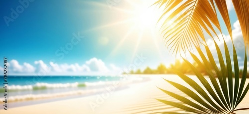 A beach scene with palm tree and the sun shining on it