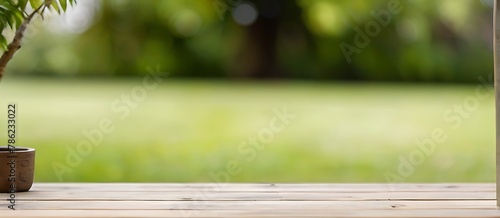 wooden table blur garden background
