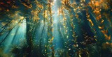 Sunlight Illuminates Kelp Forest Underwater