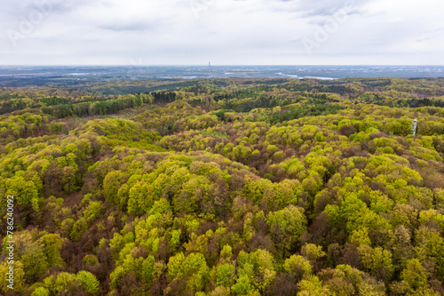 Beautiful spring forest landscape, fresh green leaves on trees in spring, view from drone.