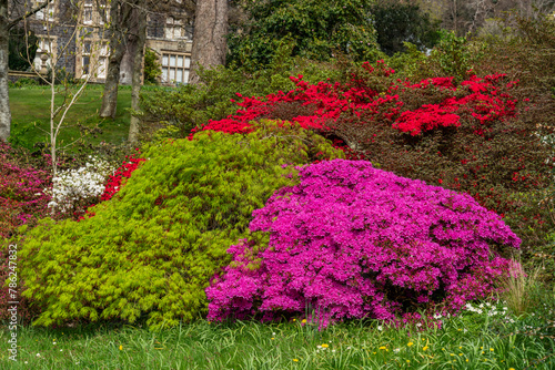 A lovely spring garden in bloom photo