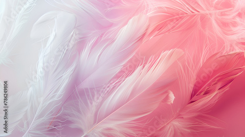 Beautiful abstract white and pink feathers on white background and soft white feather texture on pink pattern and pink background  feather background  pink banners 