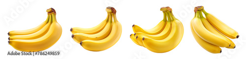 isolated set of bunch of bananas - tropical fruits