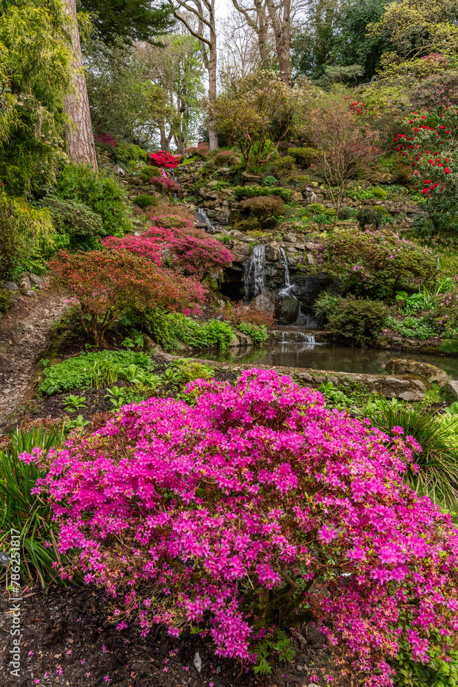 A lovely spring garden in bloom A lovely spring garden in bloom