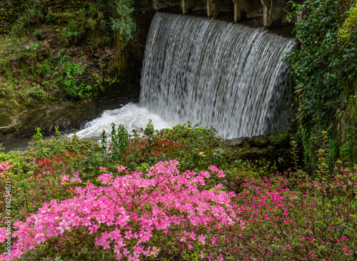 A lovely spring garden in bloom photo