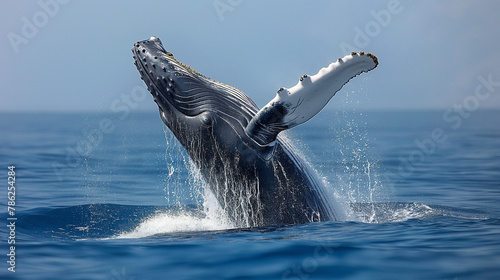 Dolphin leaping joyfully amidst ocean waves