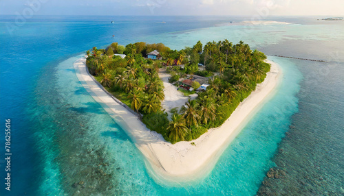 eine kleine herzförmige Insel mit Palmen und Stränden photo