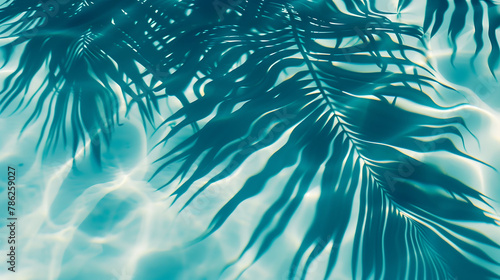 Palm Shadows on Tranquil Pool Water