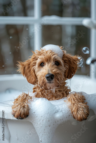 A cute Poodle dog enjoying a bath in a small bathtub filled with soap foam and bubbles, set in a charming pastel color theme.