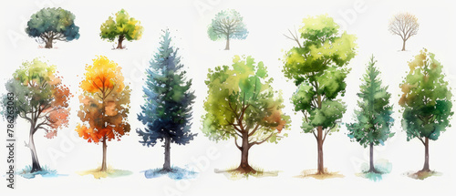 A beautiful collection of hand-drawn watercolor trees, perfect for adding a touch of nature to any project. © ChubbyCat
