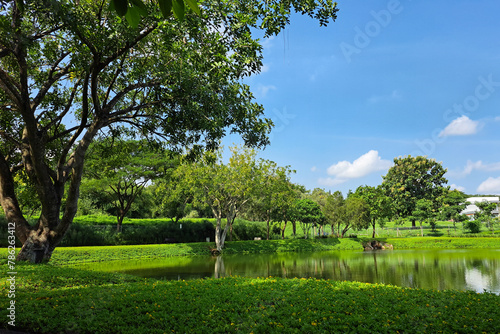 Beautiful lakeside view from a small lake in Indonesia, with green trees and blue sky 