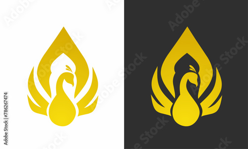 illustration vector graphics of design template elegant golden peacock logo