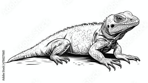 Lizard with bandaged tail sketch engraving vector illustration