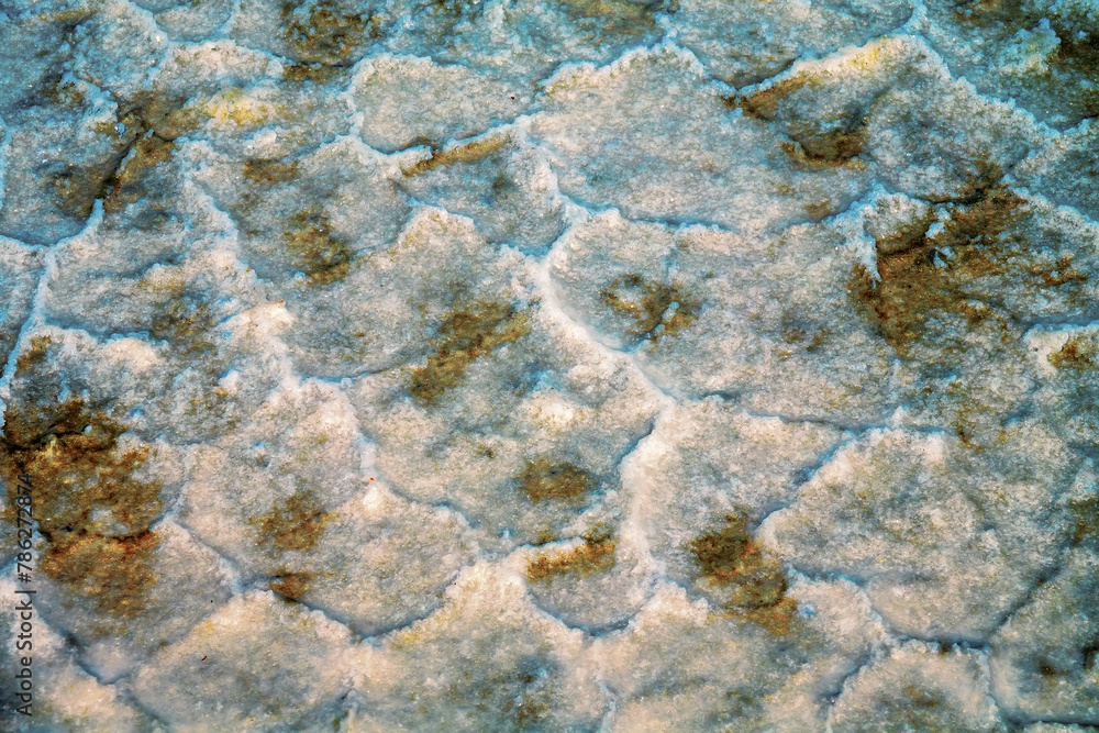 Pedology. Driedup lake basin (dry lakebed) with a crust is called an alkaline surface alkali