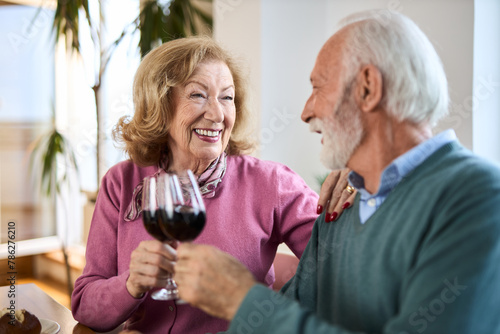 Happy senior couple talking while toasting with red wine  at home