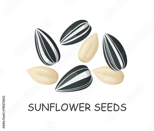 sunflower seeds hand drawn in cartoon style