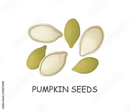 hand drawn pumpkin seeds in cartoon style
