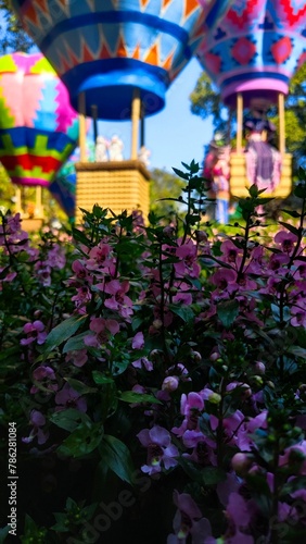 lanterns in the park