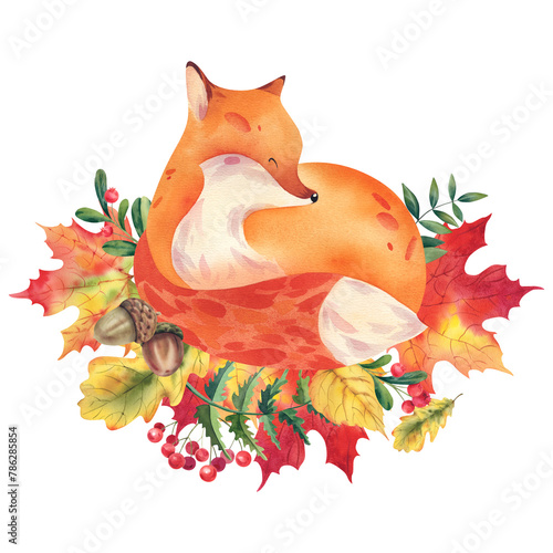 A fox with autumn leaves of maple, aspen, oak and cranberry and viburnum berries. Watercolor illustration on a white background. A small, cute fox painted by hand. A child's picture.