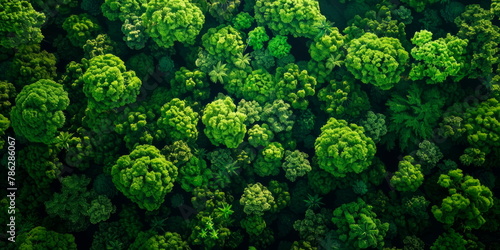 Aerial view of lush forest canopy Earth Day. highlighting the importance of preserving our natural habitat. Generative AI photo