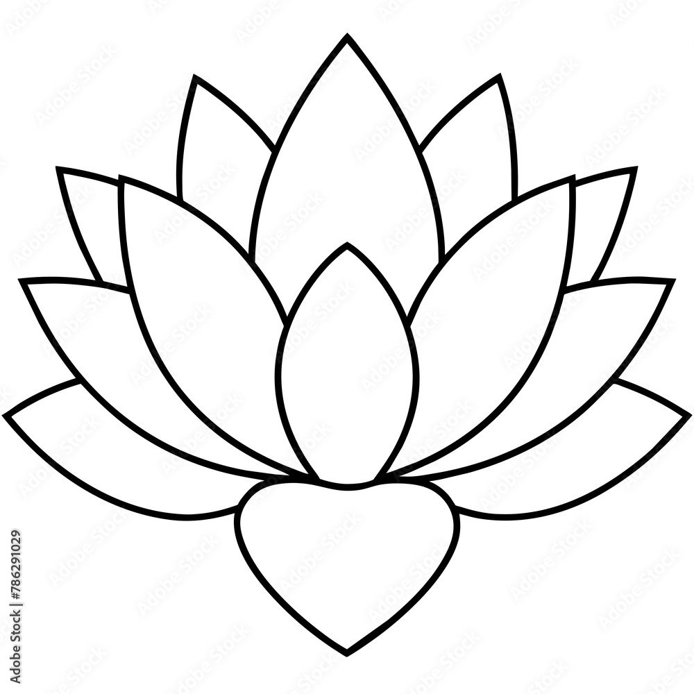 lotus flower illustration lotus flower illustration