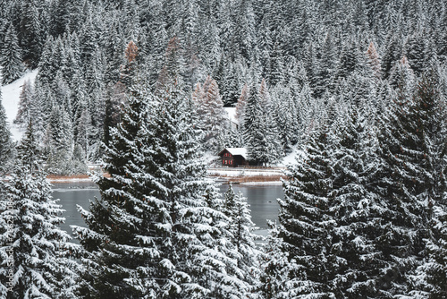 Verschneite Tannen an einem Bergsee in Graubünden