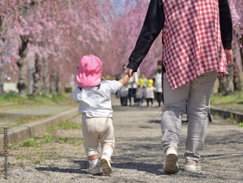桜並木を散歩する園児