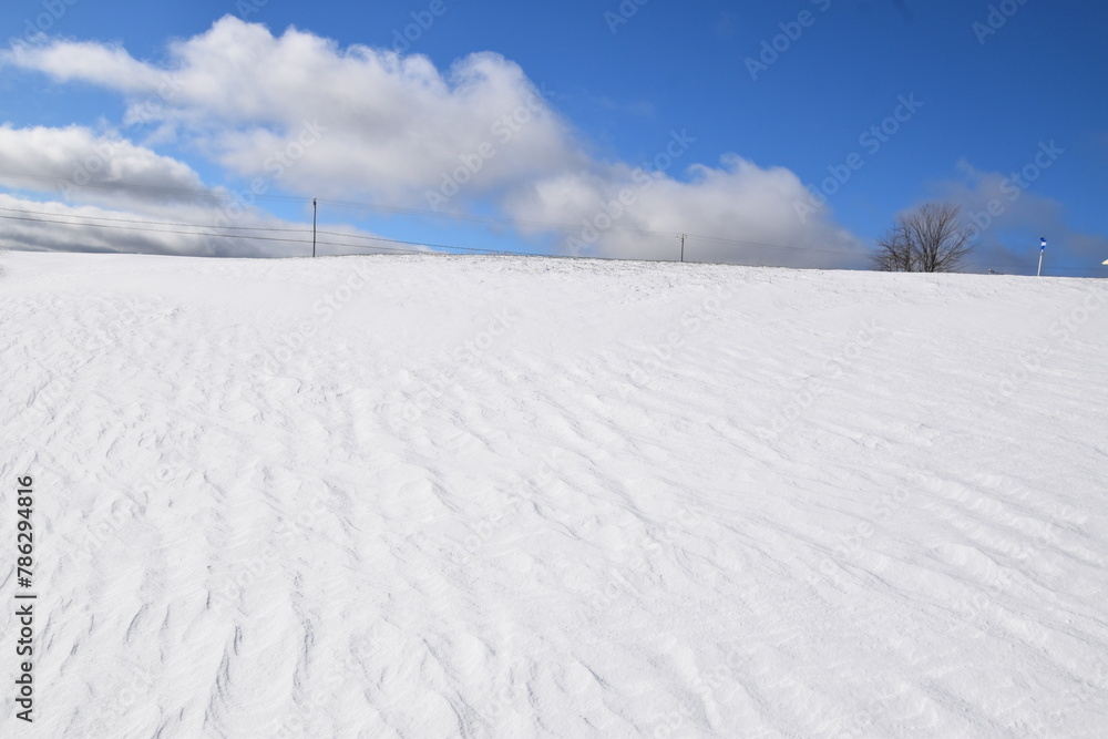 A field in winter under a blue sky, Sainte-Apolline, Québec, Canada