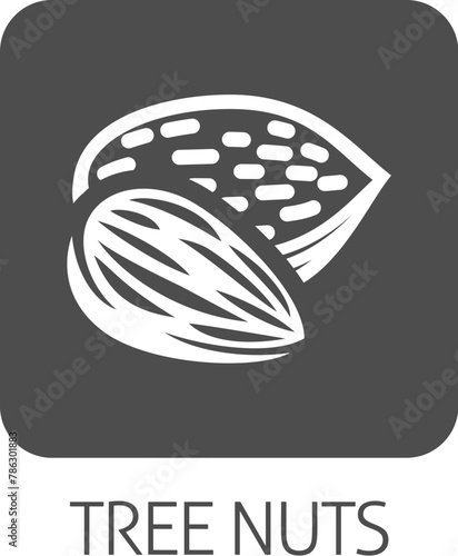 A tree nut such as an almond food stylised icon concept. Possibly an icon for the allergen or allergy.
