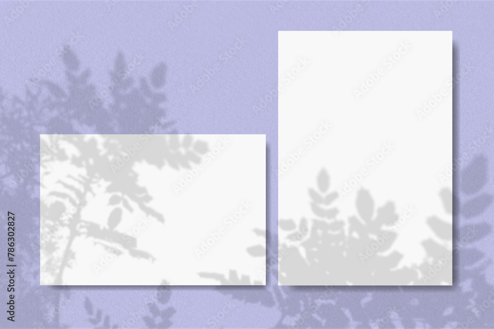 Horizontal and vertical sheets of white textured paper against a violet wall background. Natural light casts shadows from a branch of tropical plants. Mock up