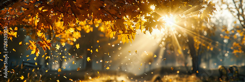 Golden Light Filtering Through Colorful Autumn Leaves, Creating a Warm and Inviting Park Scene