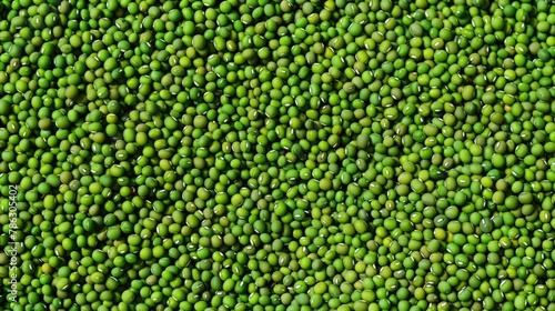 Background of green mung beans
