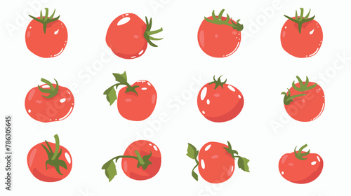 Fresh tomatoes. Red vegetables. Vectors. flat vector Illustration