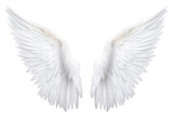 PNG  Pair of angel wings white bird white background