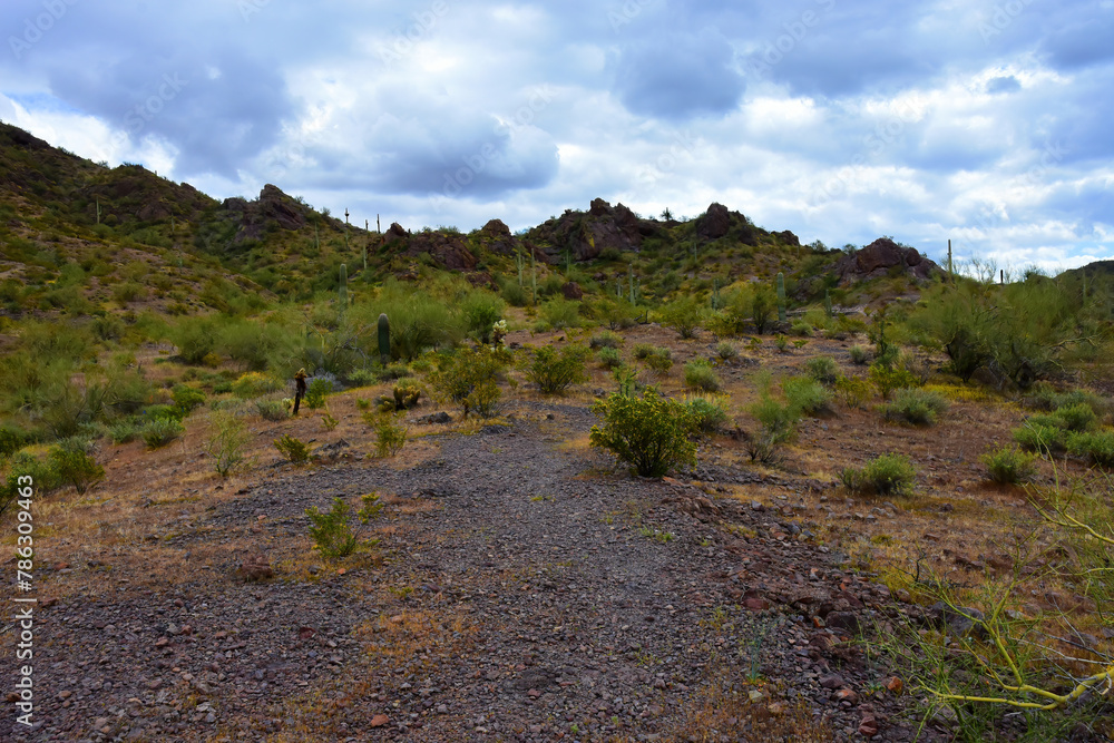 Sonora Desert Arizona Picacho Peak State Park