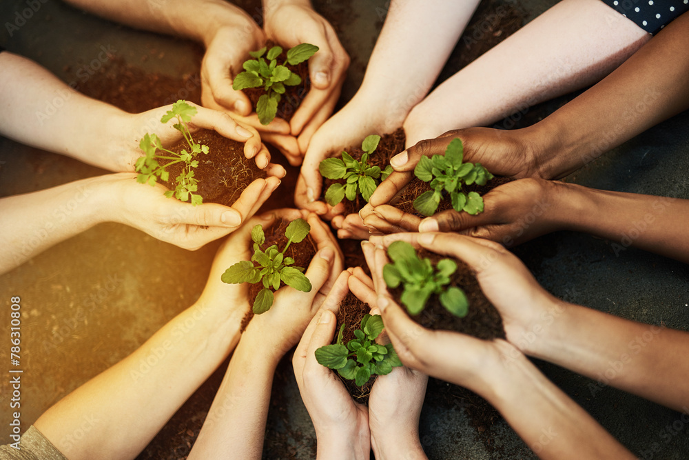 Obraz premium People, nature and plant for growth with hands, earth day with support for environment and natural recourses. Agriculture, eco friendly and green energy for sustainability, collaboration in ecology