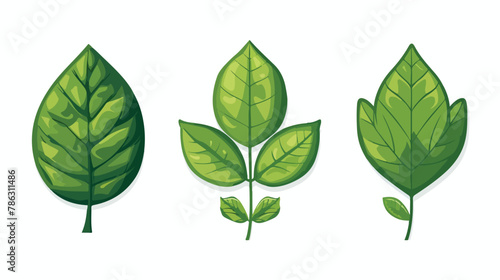 Green Tree leaf ecology nature element vector flat vector