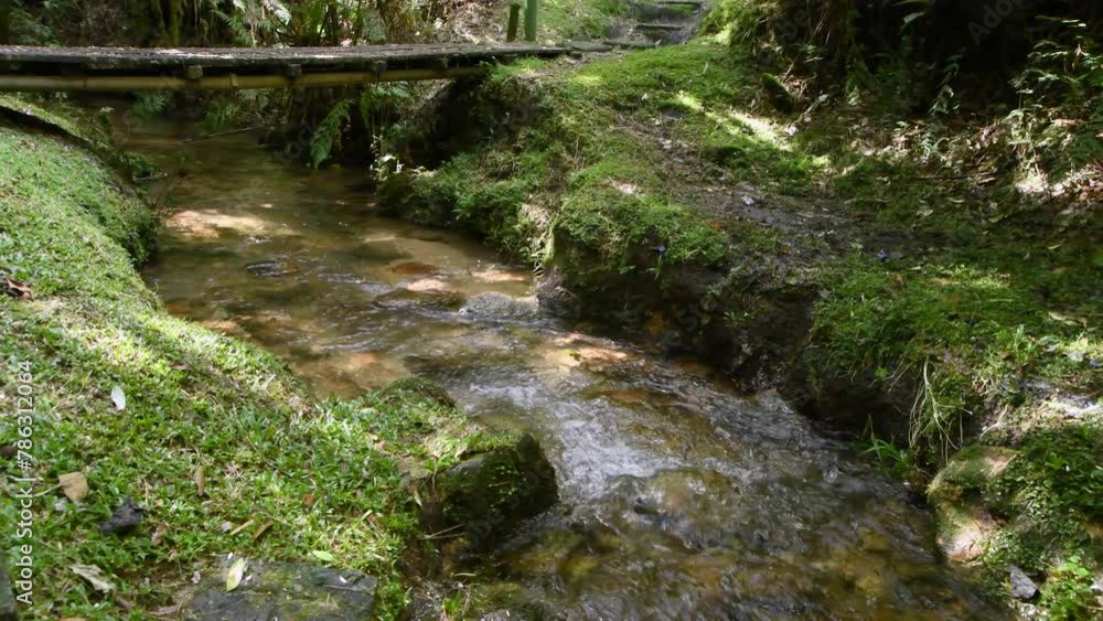 Small river flowing under a bridge into the rainforest at southeastern Brazil Small river flowing under a bridge into the rainforest at southeastern Brazil
