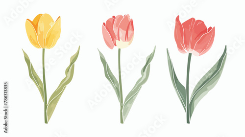 Hand drawn flowers three tulips isolated on a white backgroud