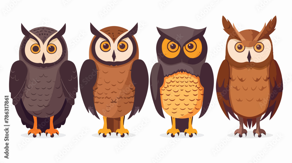 Nocturnal birds of prey. Owl. illustration. flat vector