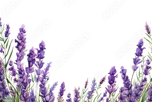 PNG  Lavender blossom backgrounds flower purple